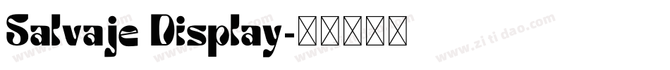 Salvaje Display字体转换